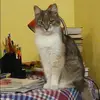 Отзыв от Анжелика Барсукова